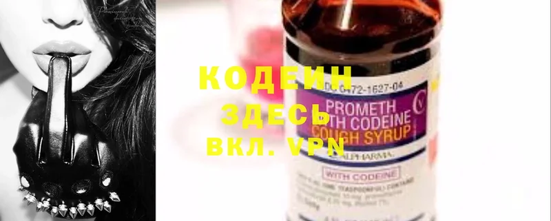 Кодеин Purple Drank  купить закладку  hydra маркетплейс  Вилючинск 